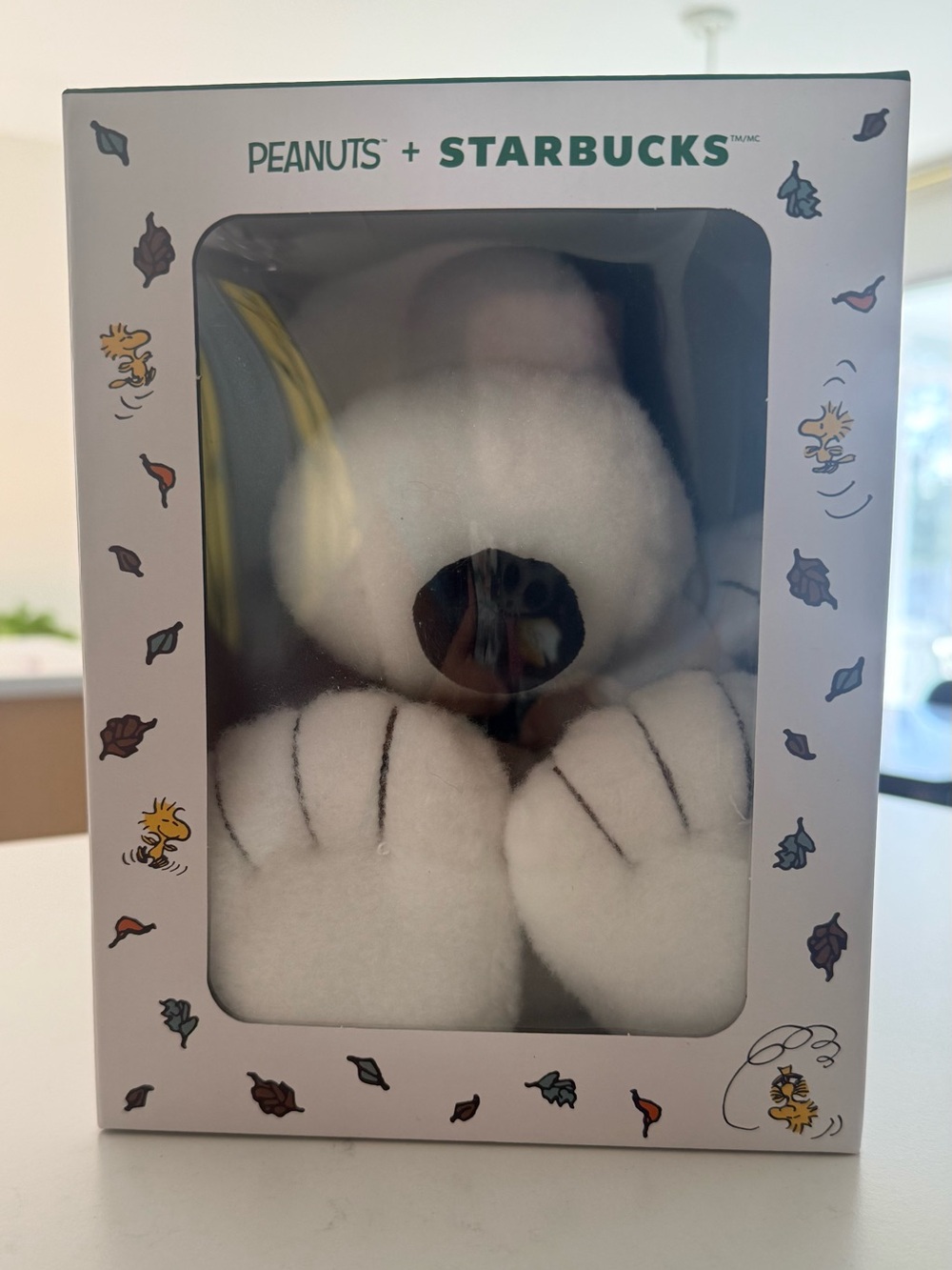 Starbucks + Snoopy Plush